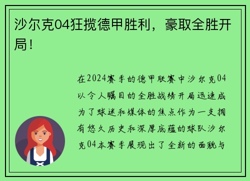 沙尔克04狂揽德甲胜利，豪取全胜开局！